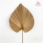 Livistone Dry Cut (XL) - 3 Stems
