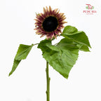 Sunflowers Brown 向日葵 - (5 Stems)