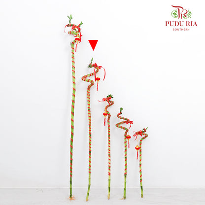 Lucky Bamboo With Deco - 转运竹