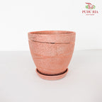 Yu-591 Rose Gold Pot W Tray