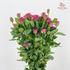 Rose Spray Blue Berry - (8-10 Stems)