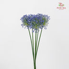 Allium Blue Perfume 葱花蓝色香水 - (5 Stems)