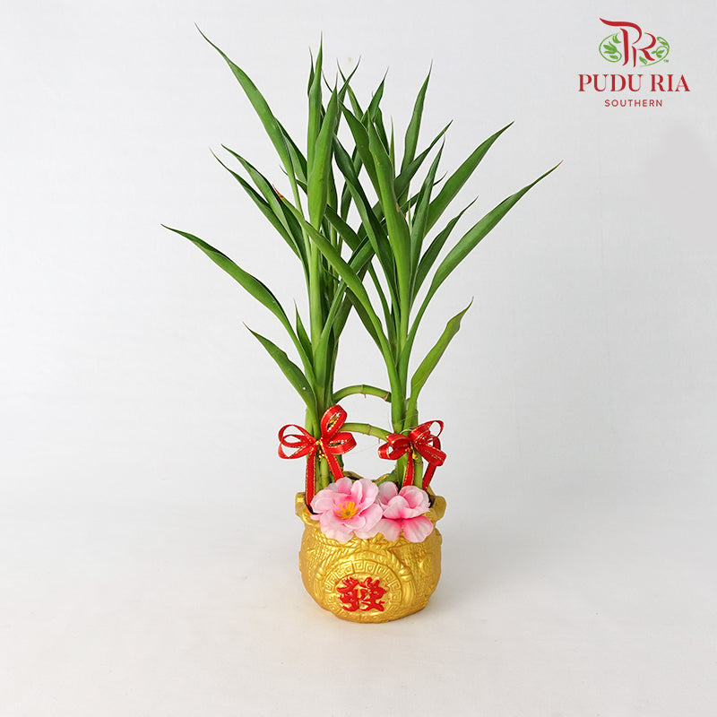 CNY Potted Plant Arrangement 2024#14