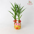 CNY Potted Plant Arrangement 2024#14