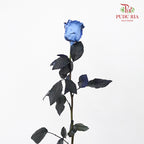 Rose Mondial Dyed Cosmic Blue (8-10 Stems) - Pudu Ria Florist Southern