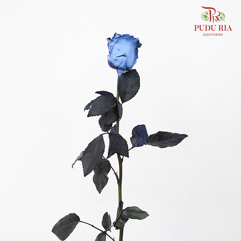 Rose Mondial Dyed Cosmic Blue (8-10 Stems) - Pudu Ria Florist Southern