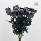 Rose Mondial Dyed Yicaiflower - (8-10 Stems)