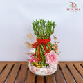 CNY Arrangement 2024#24