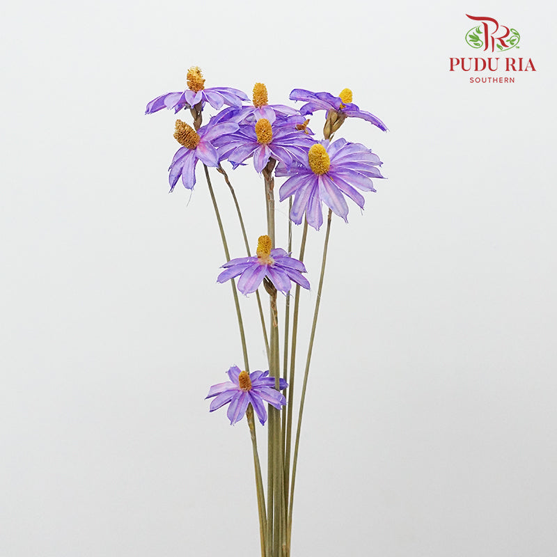 Dry Sapphire Purple - Pudu Ria Florist Southern
