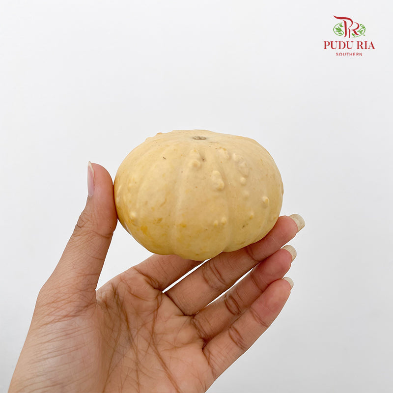 Pumpkin 观赏南瓜 - (Per Piece)