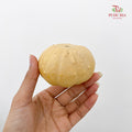 Pumpkin 观赏南瓜 - (Per Piece)