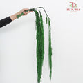 Preservative Amaranthus Green - Pudu Ria Florist Southern