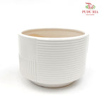 XR-886-H Pot White