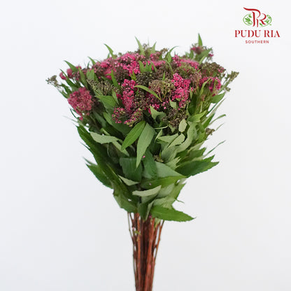 Spiraea Wild - Pudu Ria Florist Southern