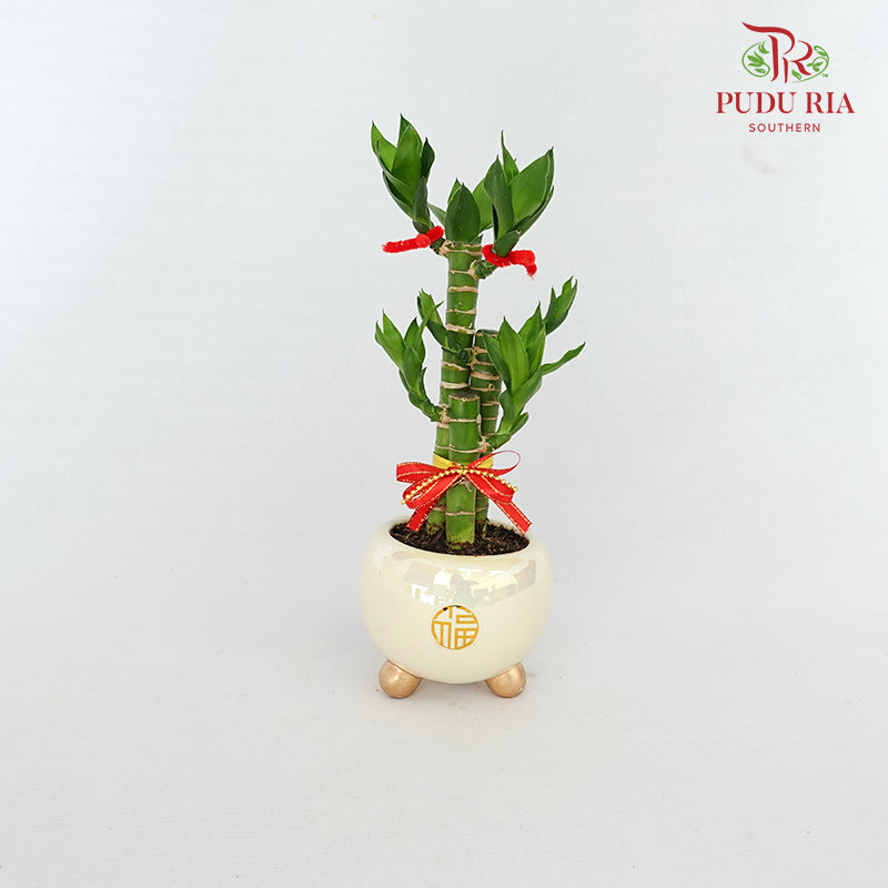 CNY Potted Plant Arrangement 2024#11