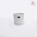 JZ-DW24169 Asst Pot
