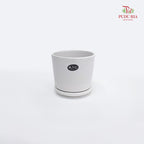 JZ-DW24169 Asst Pot