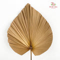 Livistone Dry Cut (XL) - 3 Stems