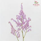 Astilbe Purple (4-5 Stems) - Pudu Ria Florist Southern