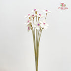 Dry Violet - White Center Magenta