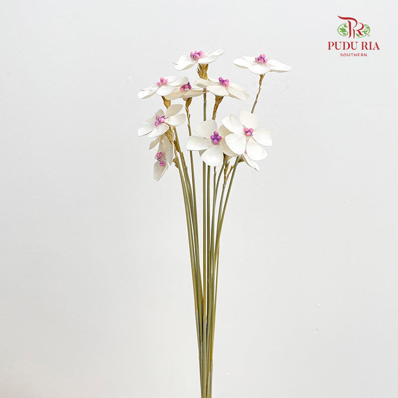 Dry Violet - White Center Magenta
