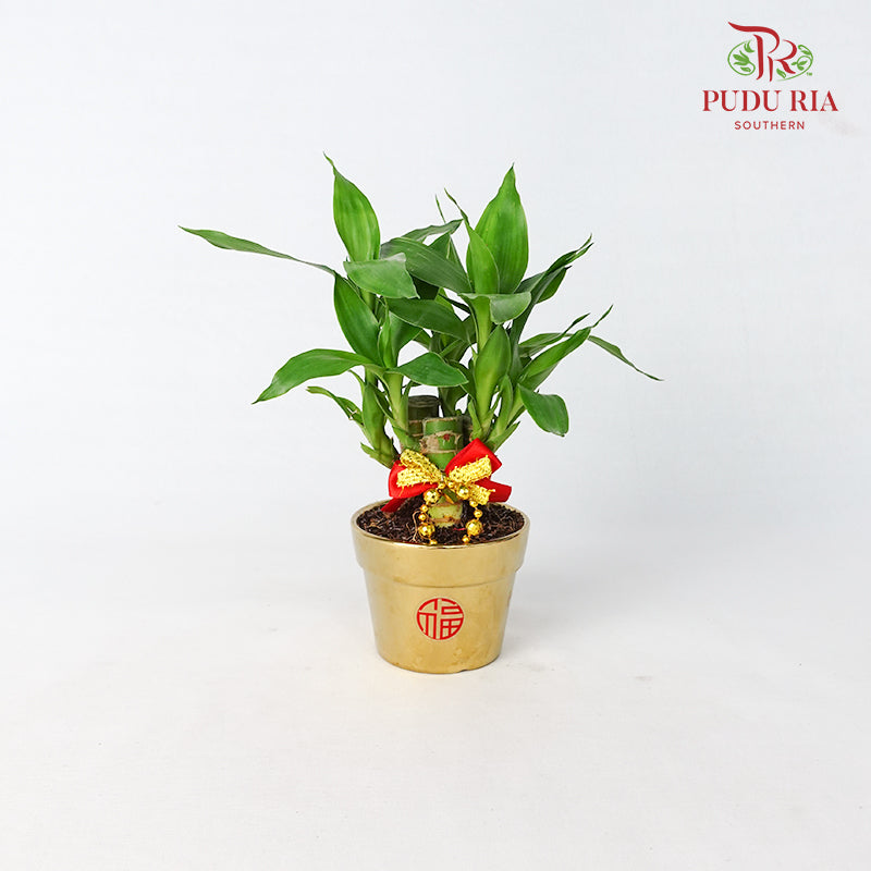 CNY Potted Plant Arrangement 2024#7