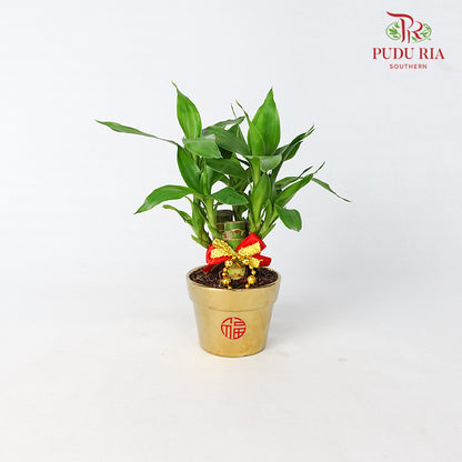 CNY Potted Plant Arrangement 2024#7