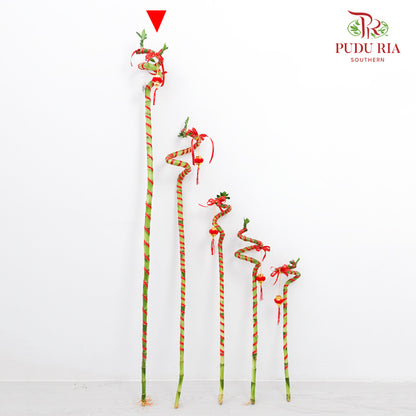 Lucky Bamboo With Deco - 转运竹