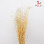 Dry Crazy Grass Natural - Pudu Ria Florist Southern