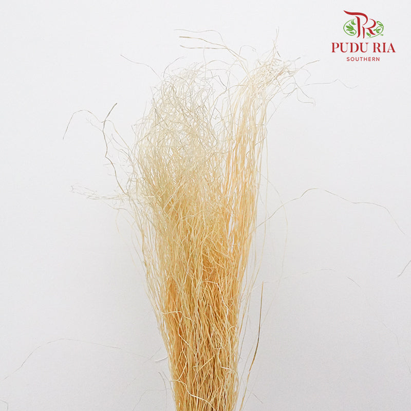 Dry Crazy Grass Natural - Pudu Ria Florist Southern