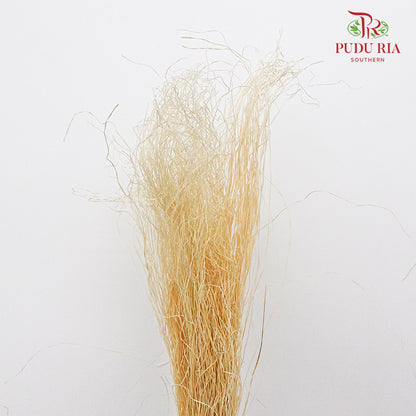 Dry Crazy Grass Natural - Pudu Ria Florist Southern