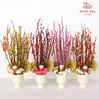 CNY Arrangement 2024#2