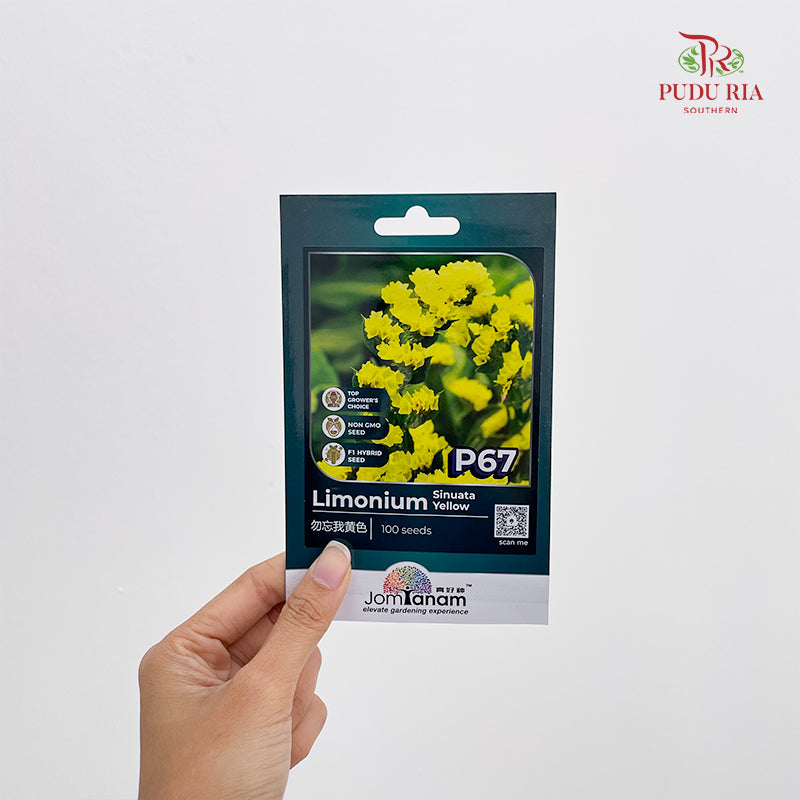 Flowers & Herbs Seeds