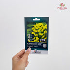 Flowers & Herbs Seeds