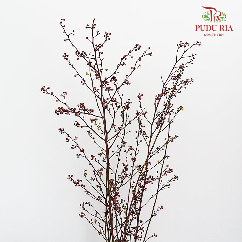 Deng Tai - Pudu Ria Florist Southern