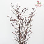 Deng Tai - Pudu Ria Florist Southern