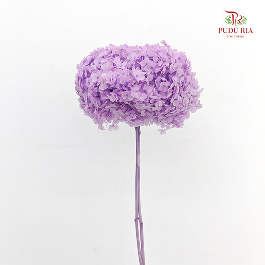 Preservative Hydrangea Purple - Per Stem