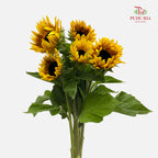 Sunflowers Yellow 向日葵 - (5 Stems)