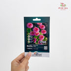 Flowers & Herbs Seeds