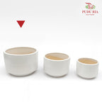 XR-886-H Pot White
