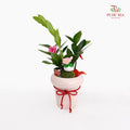 CNY Potted Plant Arrangement 2025#16