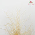 Dry Crazy Grass Natural - Pudu Ria Florist Southern