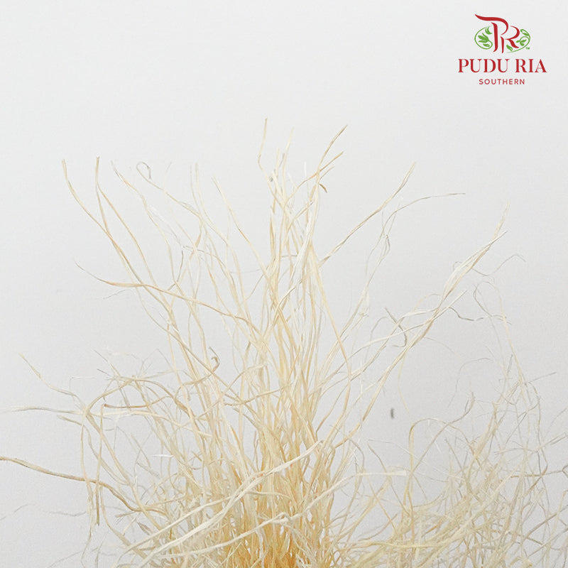 Dry Crazy Grass Natural - Pudu Ria Florist Southern