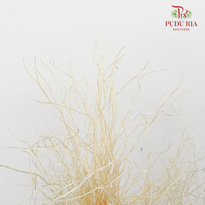 Dry Crazy Grass Natural - Pudu Ria Florist Southern