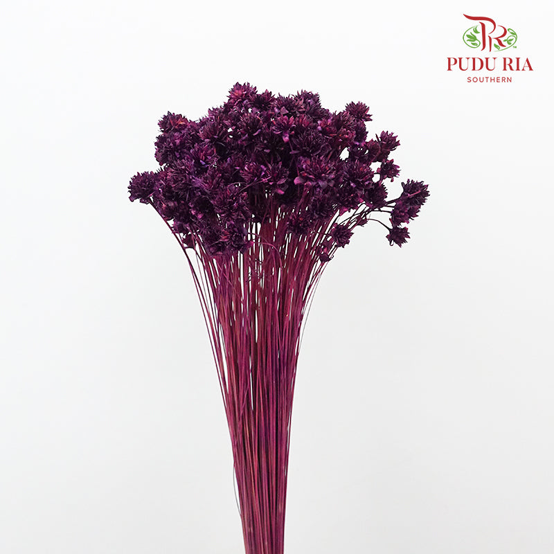 Dry Hill Flower - Purple - Pudu Ria Florist Southern