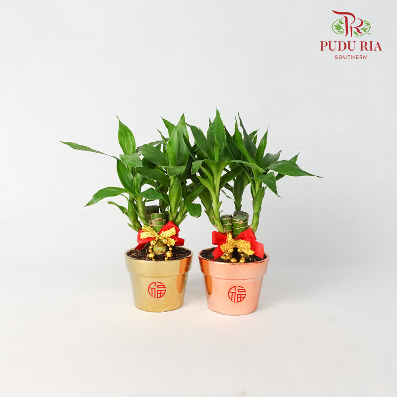 CNY Potted Plant Arrangement 2024#7