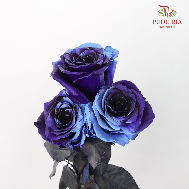 Rose Mondial Dyed Cosmic Blue (8-10 Stems) - Pudu Ria Florist Southern