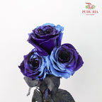 Rose Mondial Dyed Cosmic Blue (8-10 Stems) - Pudu Ria Florist Southern