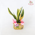 CNY Potted Plant Arrangement 2024#41