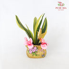 CNY Potted Plant Arrangement 2024#41